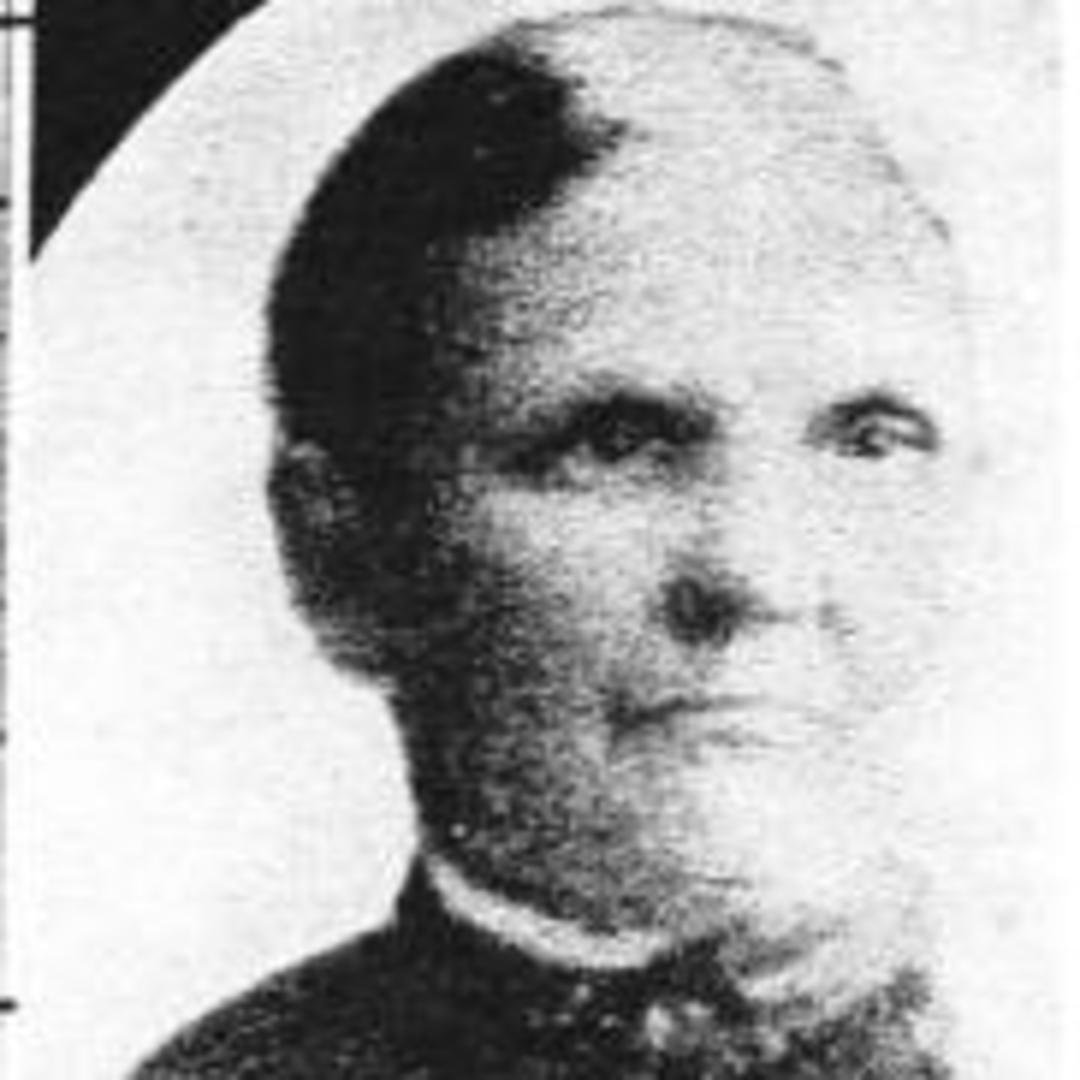 Ann Burt (1838 - 1923) Profile